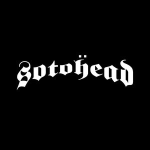 Sotohead 的头像