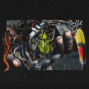 Pepela (feat. Luna997) - Single