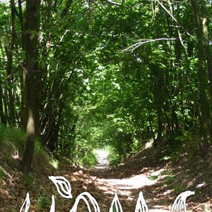 “Lùmac”的封面