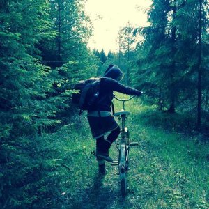 Avatar for Tuulikki Tee