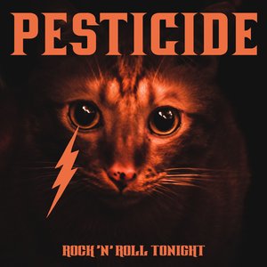 Rock 'n' Roll Tonight