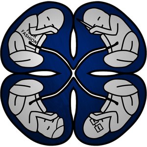 Avatar for BoBaS