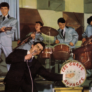 Les Chats Sauvages photo provided by Last.fm