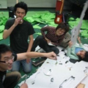 “Chasing Sparrow”的封面