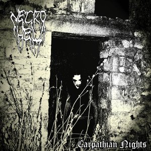 Carpathian Nights