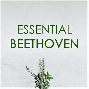 Essential Beethoven