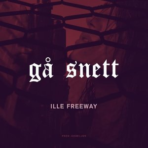 Gå snett