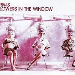 Flowers In the Window - Single