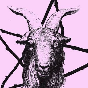 Аватар для The Grail