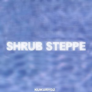 Shrub Steppe