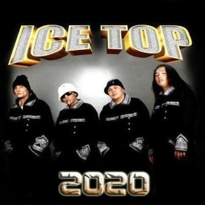“2020”的封面