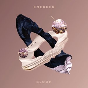 Bloom