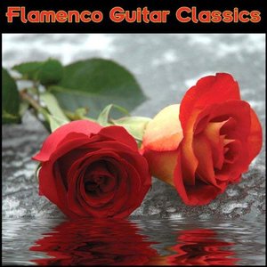 Flamenco Guitar Masters 的头像