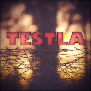 Testla 的头像
