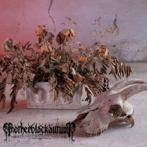 Resplendent Apparitions at the Dawn