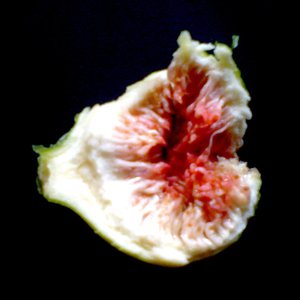 Don't Give A Fig