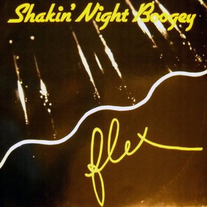 Shakin' Night Boogey