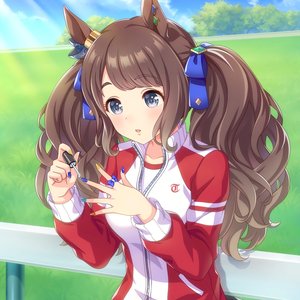 Avatar for トーセンジョーダン (CV. 鈴木絵理)