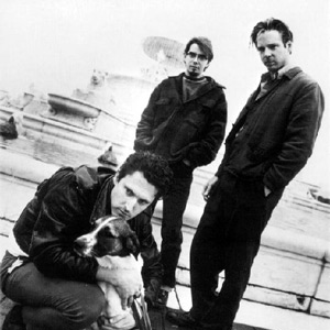 Mule photo provided by Last.fm