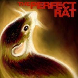 The Perfect Rat 的头像