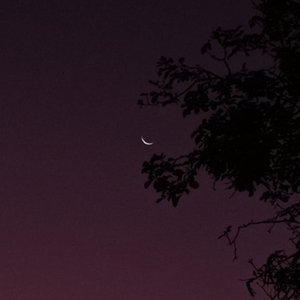 breves momentos de beleza