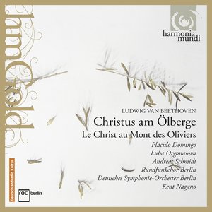 Christus am Ölberge