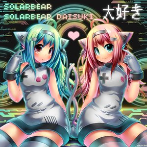 SolarBear 的头像