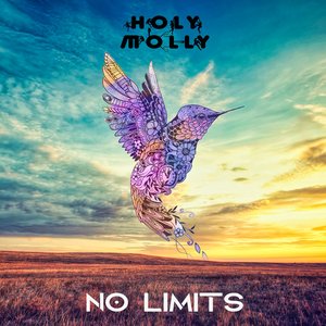 No Limits