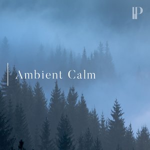 Аватар для Ambient Fruits Music
