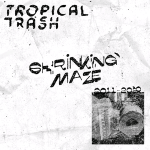 Shrinking Maze: 2011-2020 cover