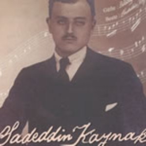 saadettin kaynak 的头像