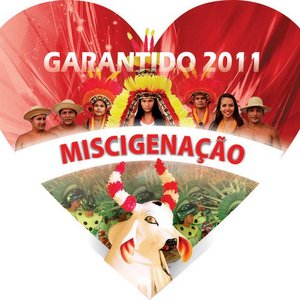 Boi Garantido için avatar