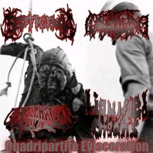Quadripartite Evisceration (Coagulating Side)