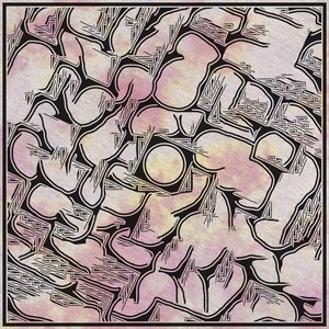 Coil of Suns
