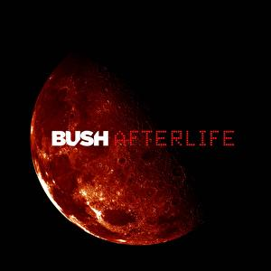 Bush - Afterlife [single] - Zortam Music