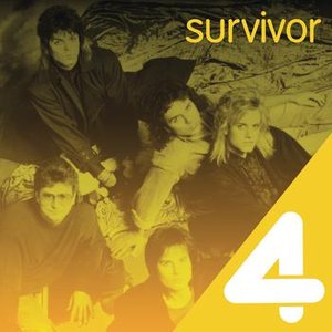 4 Hits: Survivor