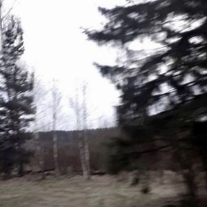 Y So Much - Single