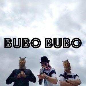 Bubo Bubo