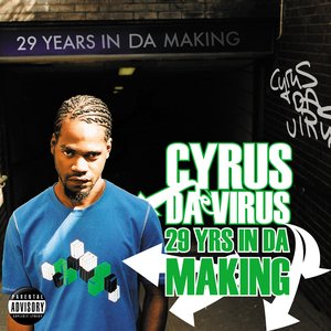 Image for '29 YRS IN DA MAKING'