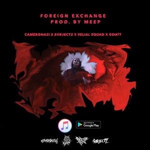 Foreign Exchange