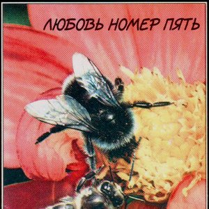 Оргазм Не Наступил 的头像