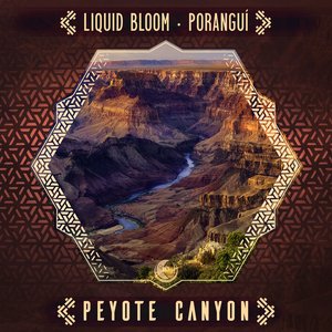 Peyote Canyon