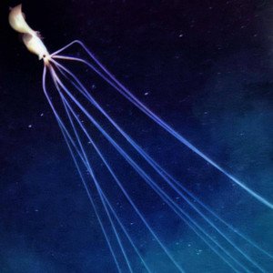 The Blue - Single