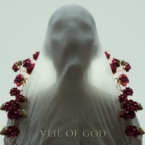 Veil of God