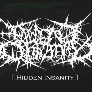 Hidden Insanity 的头像