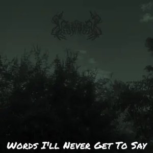 Words I'll Never Get To Say