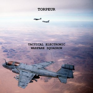 Tactical Electronic Warfare Squadron