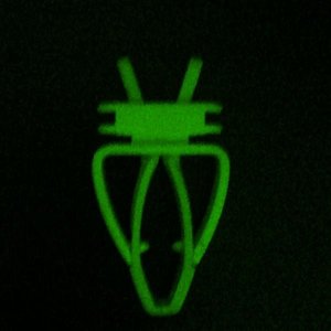 Goylem 的头像