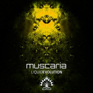 Liquid Evolution