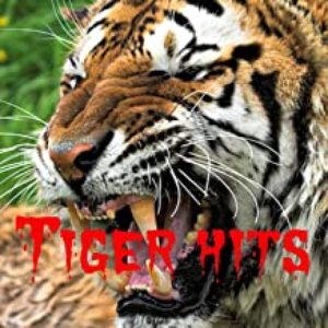 Tiger Hits